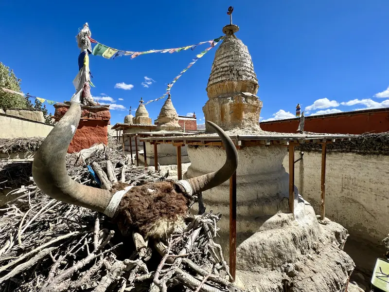 A rooftop in Lo Manthang, Mustang